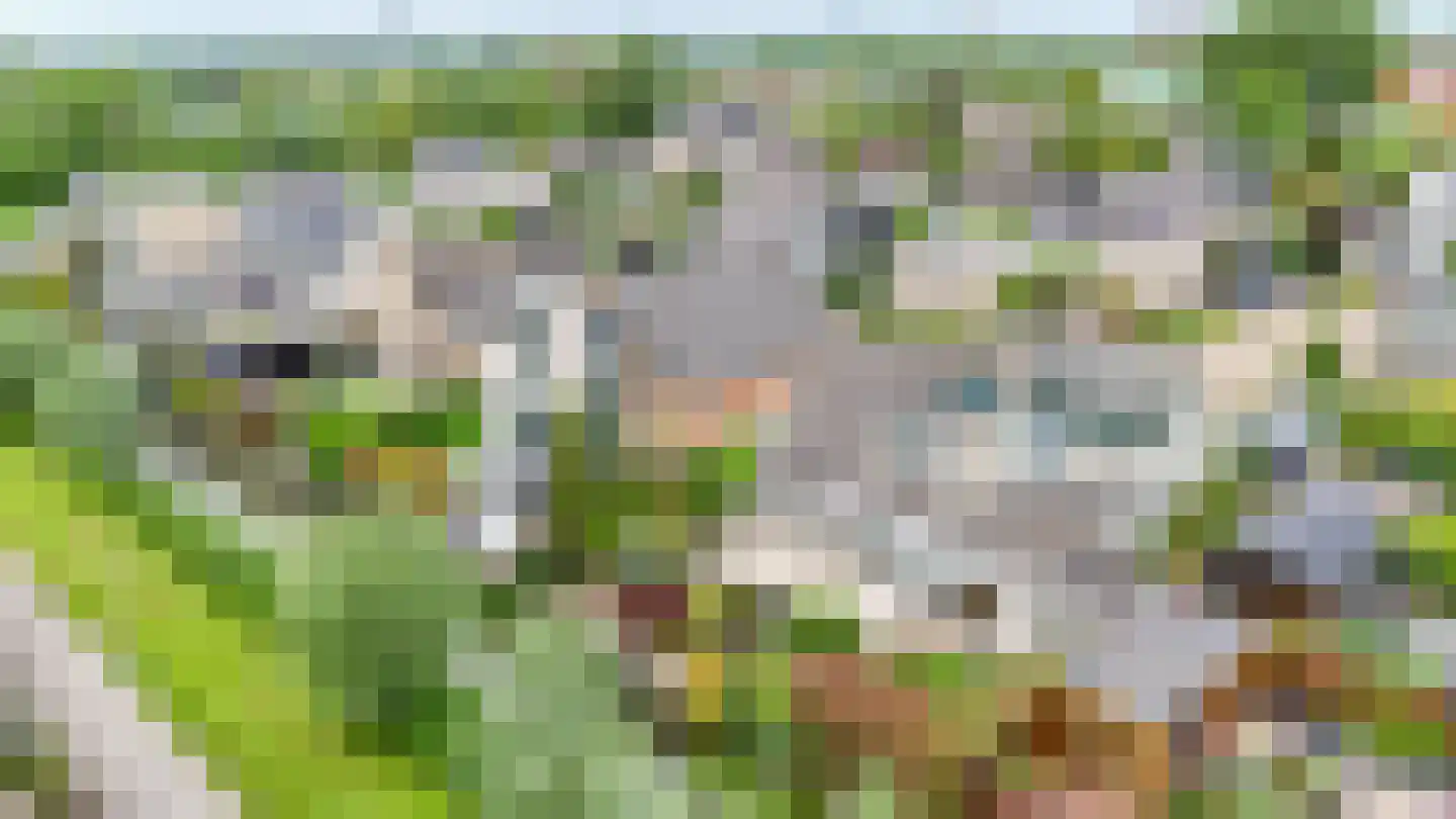 Italiaansezoom 1 Nieuwerkerk aan den IJssel thumbnail 40