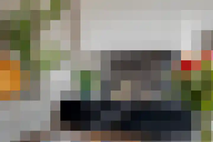 Italiaansezoom 2 Nieuwerkerk aan den IJssel thumbnail 11
