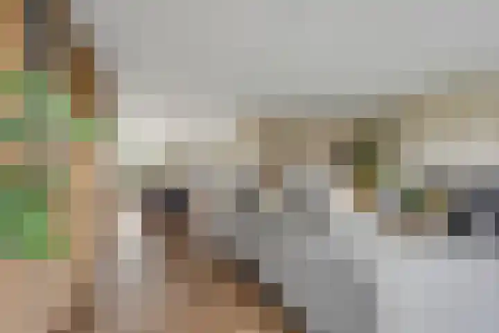 Italiaansezoom 2 Nieuwerkerk aan den IJssel thumbnail 12