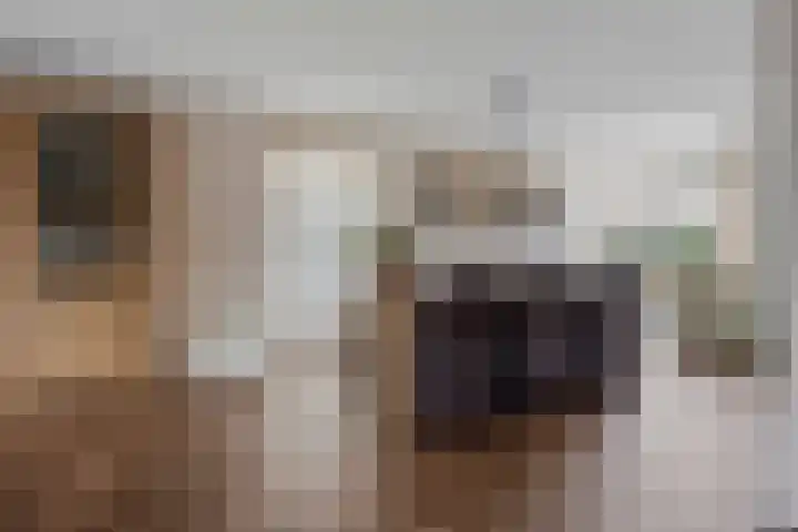 Italiaansezoom 2 Nieuwerkerk aan den IJssel thumbnail 14