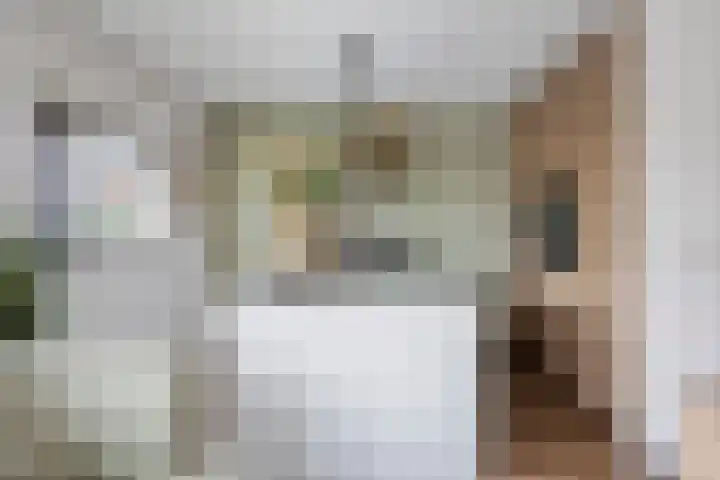 Italiaansezoom 2 Nieuwerkerk aan den IJssel thumbnail 15