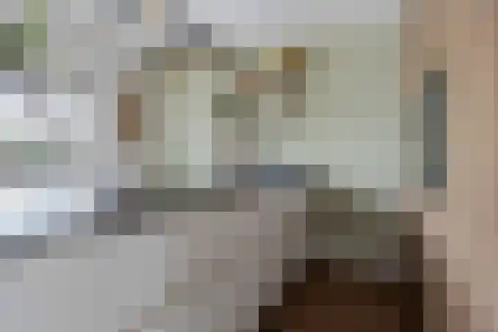 Italiaansezoom 2 Nieuwerkerk aan den IJssel thumbnail 16