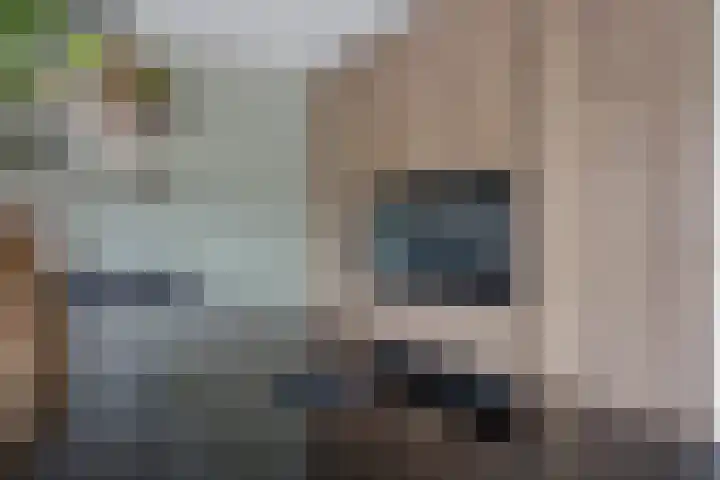 Italiaansezoom 2 Nieuwerkerk aan den IJssel thumbnail 17