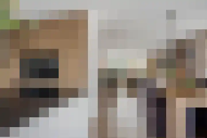 Italiaansezoom 2 Nieuwerkerk aan den IJssel thumbnail 18