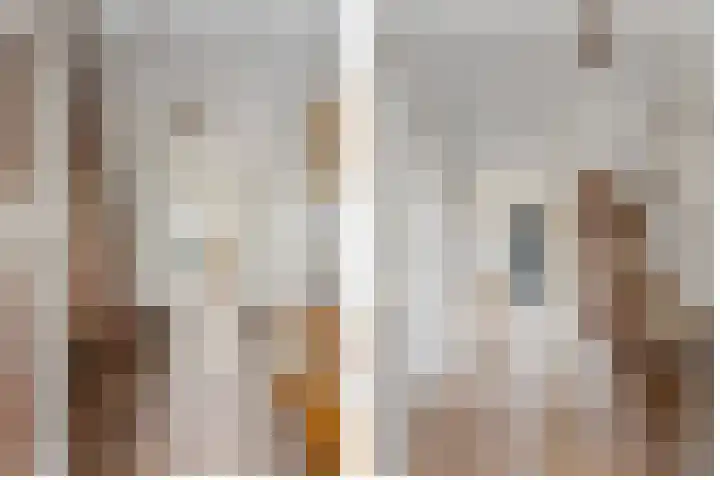 Italiaansezoom 2 Nieuwerkerk aan den IJssel thumbnail 19