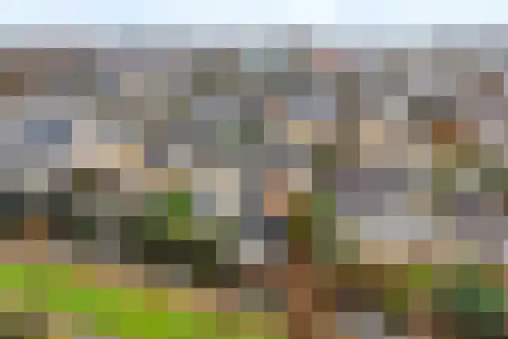 Italiaansezoom 2 Nieuwerkerk aan den IJssel foto 2