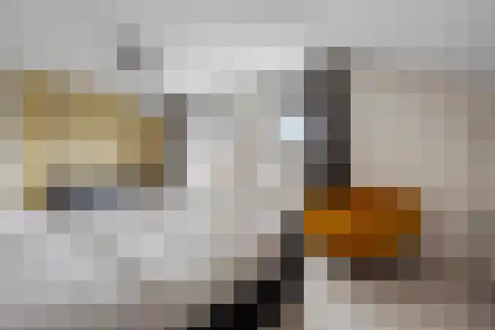 Italiaansezoom 2 Nieuwerkerk aan den IJssel thumbnail 24
