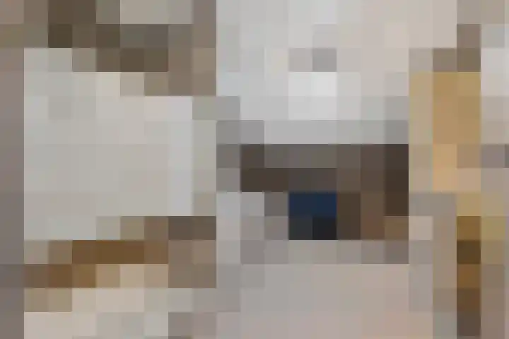 Italiaansezoom 2 Nieuwerkerk aan den IJssel thumbnail 26