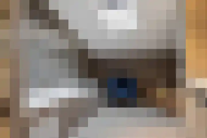 Italiaansezoom 2 Nieuwerkerk aan den IJssel thumbnail 27
