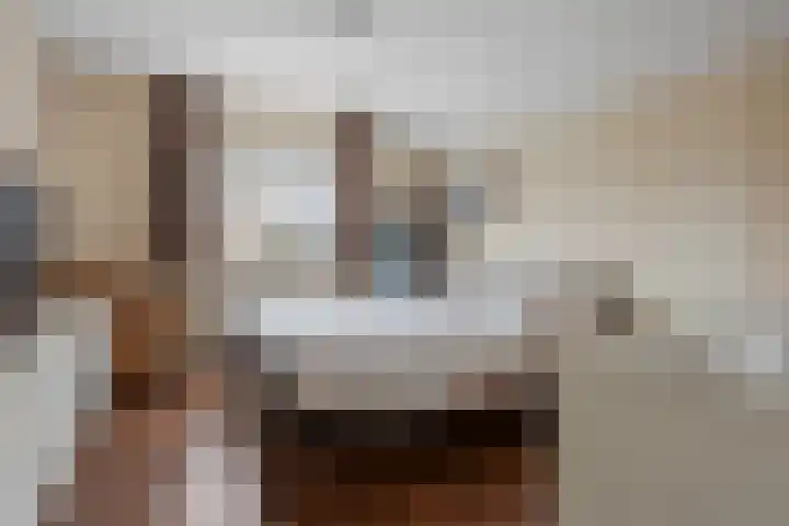 Italiaansezoom 2 Nieuwerkerk aan den IJssel thumbnail 32
