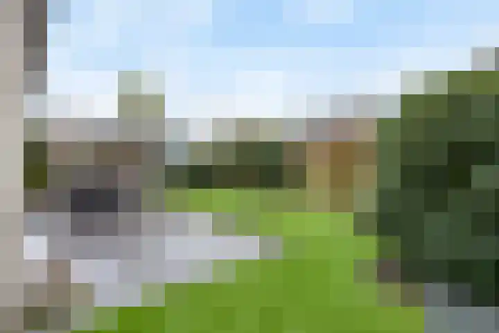 Italiaansezoom 2 Nieuwerkerk aan den IJssel thumbnail 39