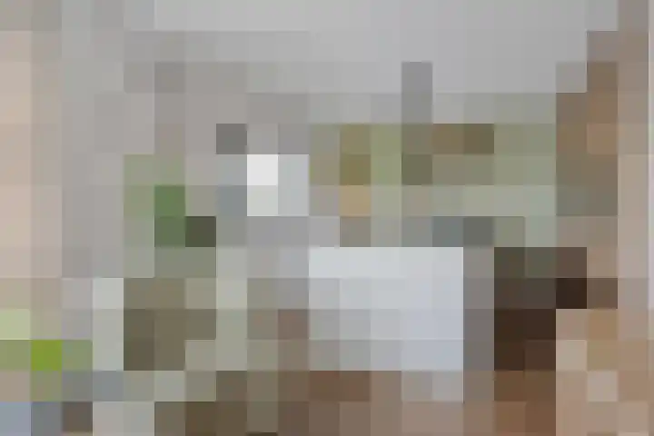 Italiaansezoom 2 Nieuwerkerk aan den IJssel thumbnail 4