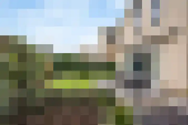 Italiaansezoom 2 Nieuwerkerk aan den IJssel thumbnail 41