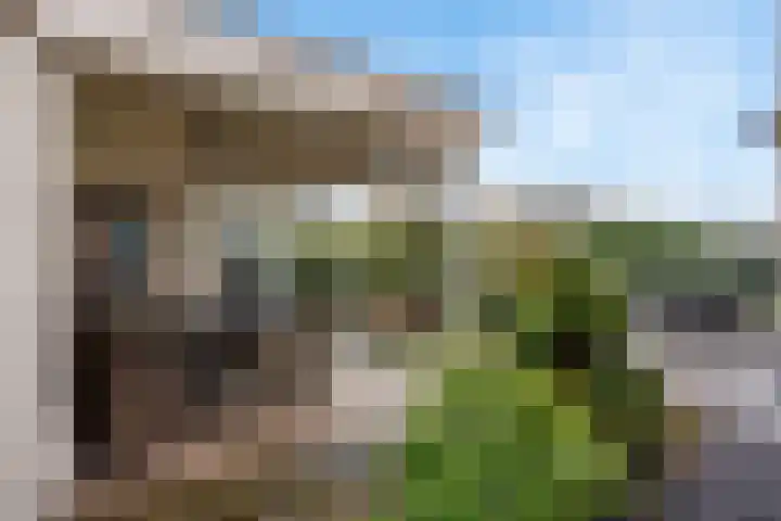 Italiaansezoom 2 Nieuwerkerk aan den IJssel thumbnail 43