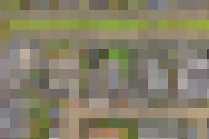 Italiaansezoom 2 Nieuwerkerk aan den IJssel thumbnail 44