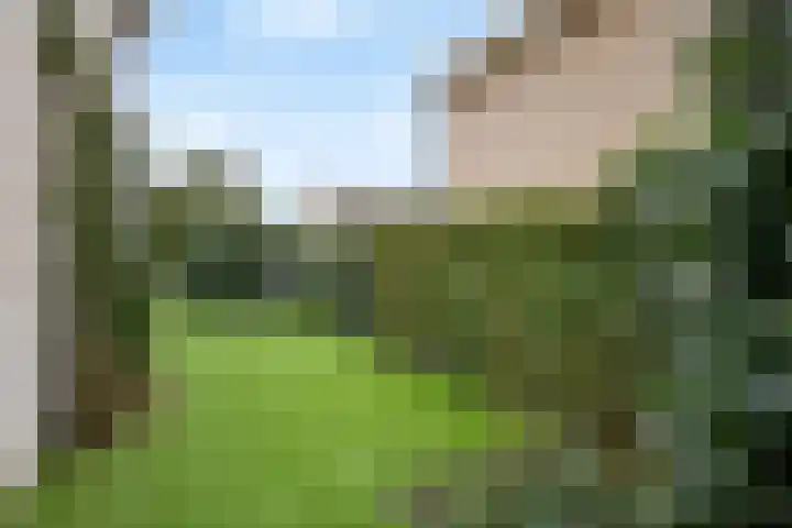 Italiaansezoom 2 Nieuwerkerk aan den IJssel thumbnail 45
