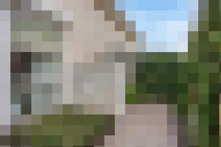 Italiaansezoom 2 Nieuwerkerk aan den IJssel thumbnail 46