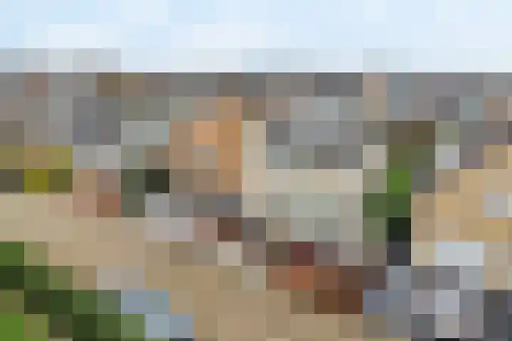 Italiaansezoom 2 Nieuwerkerk aan den IJssel thumbnail 5