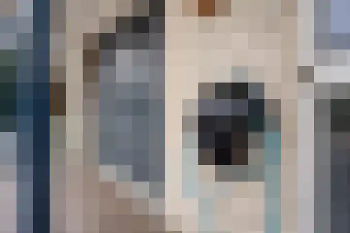 Italiaansezoom 2 Nieuwerkerk aan den IJssel thumbnail 52