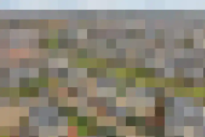 Italiaansezoom 2 Nieuwerkerk aan den IJssel thumbnail 54