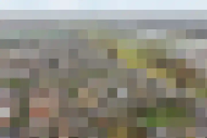 Italiaansezoom 2 Nieuwerkerk aan den IJssel thumbnail 55