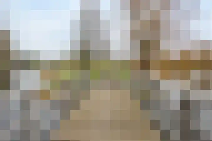 Italiaansezoom 2 Nieuwerkerk aan den IJssel thumbnail 56