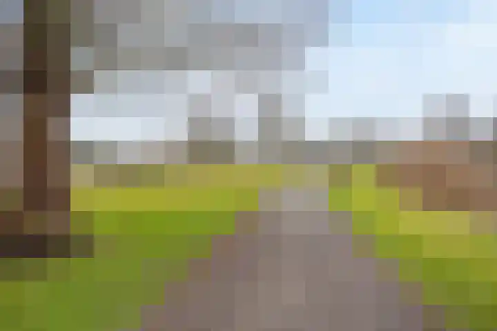 Italiaansezoom 2 Nieuwerkerk aan den IJssel thumbnail 57