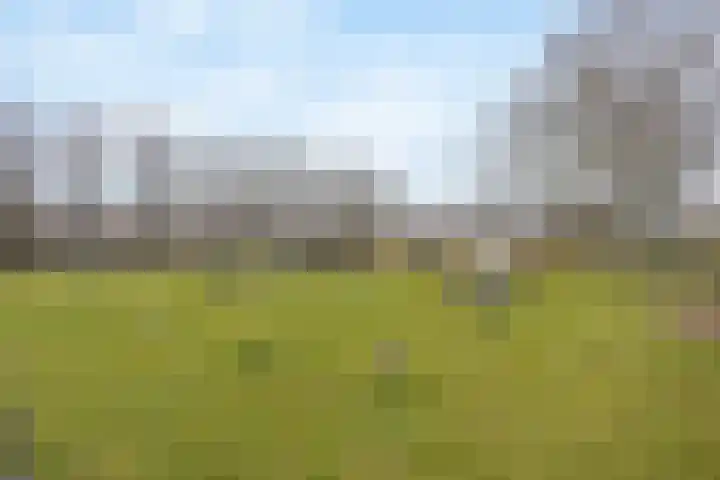 Italiaansezoom 2 Nieuwerkerk aan den IJssel thumbnail 58