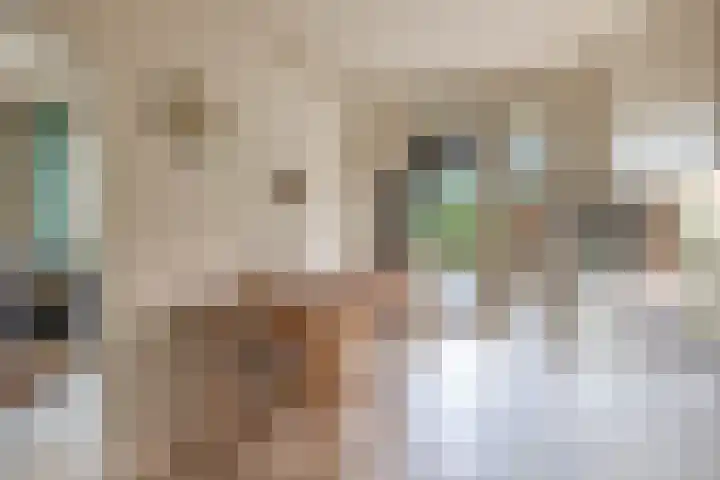 Italiëlaan 10 Eindhoven thumbnail 12