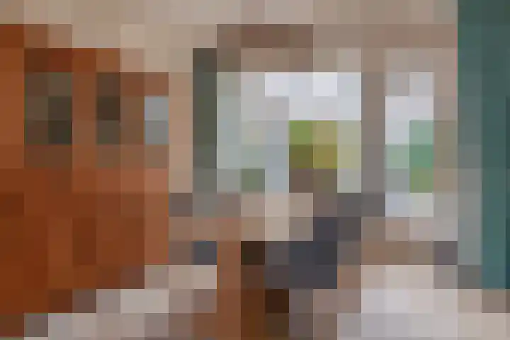 Italiëlaan 10 Eindhoven thumbnail 21