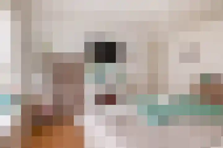 Italiëlaan 10 Eindhoven thumbnail 27