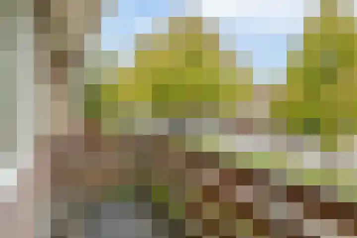 Italiëlaan 10 Eindhoven thumbnail 29
