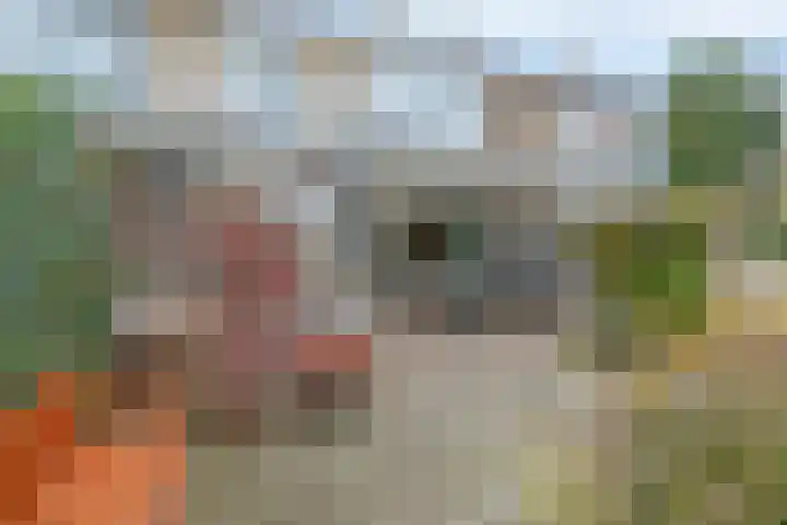 Italiëlaan 10 Eindhoven thumbnail 40