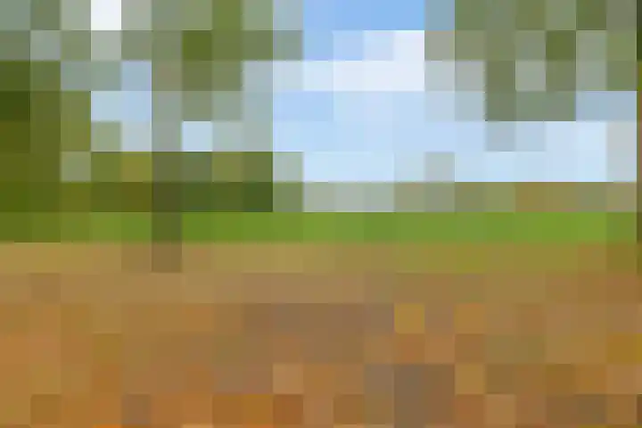 Italiëlaan 10 Eindhoven thumbnail 43