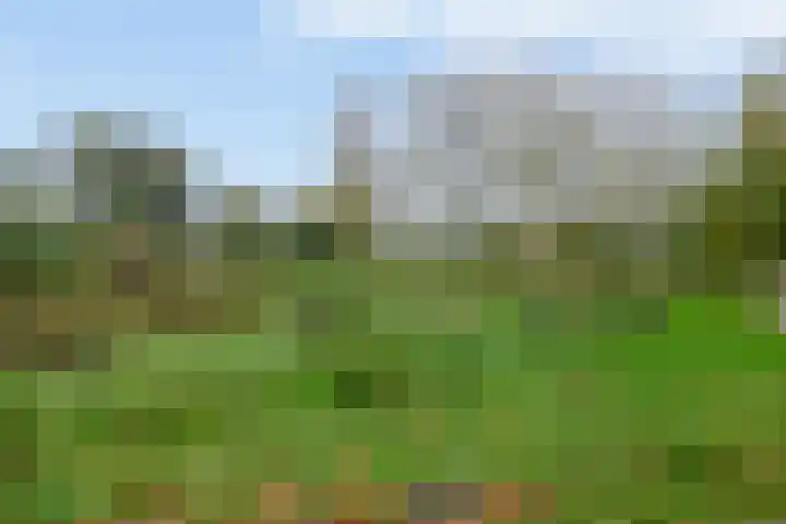 Italiëlaan 10 Eindhoven thumbnail 44