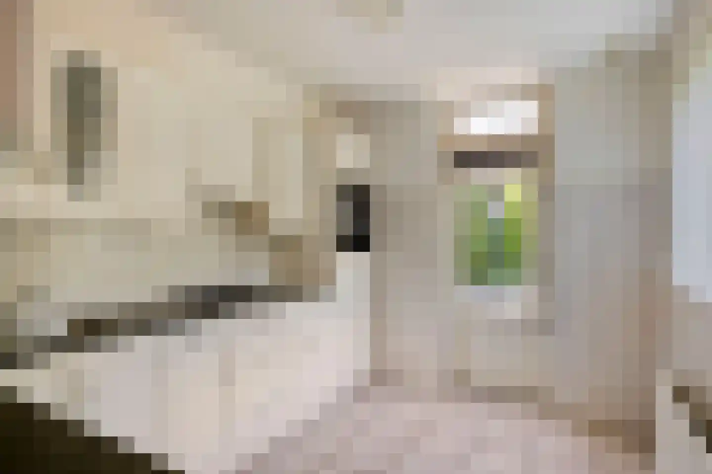 Italiëlaan 101 Eindhoven thumbnail 16