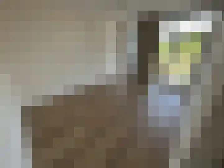Italiëlaan 117 Heerlen thumbnail 20