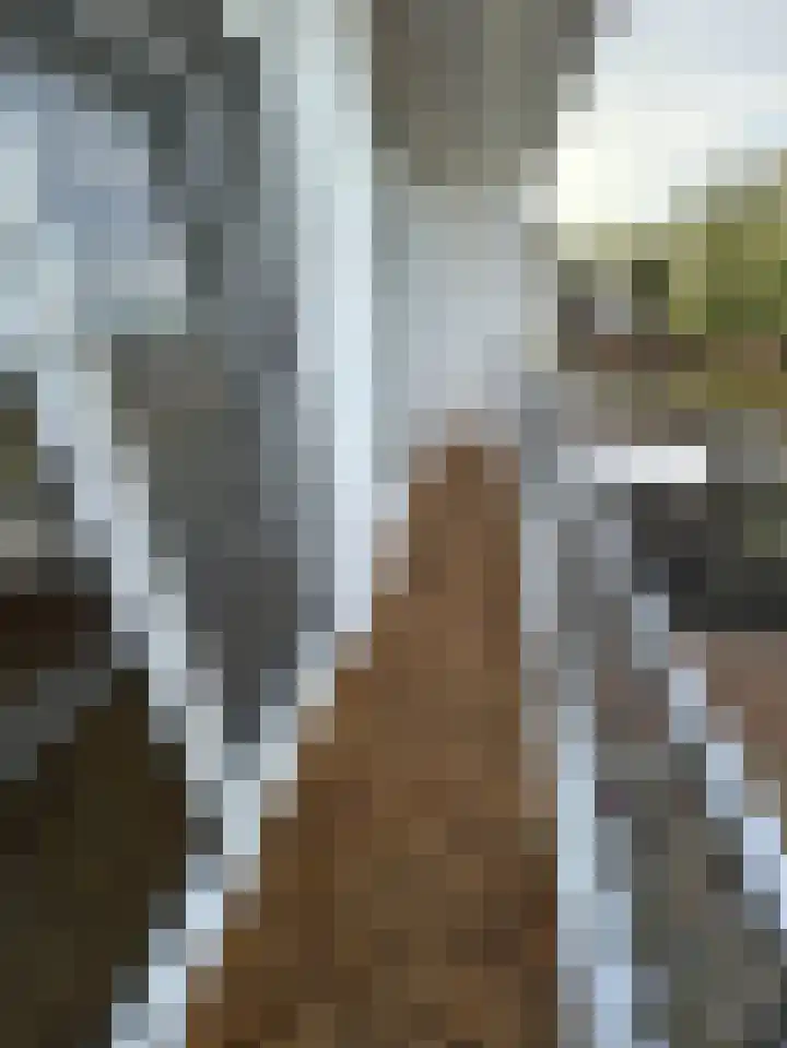Italiëlaan 117 Heerlen thumbnail 21
