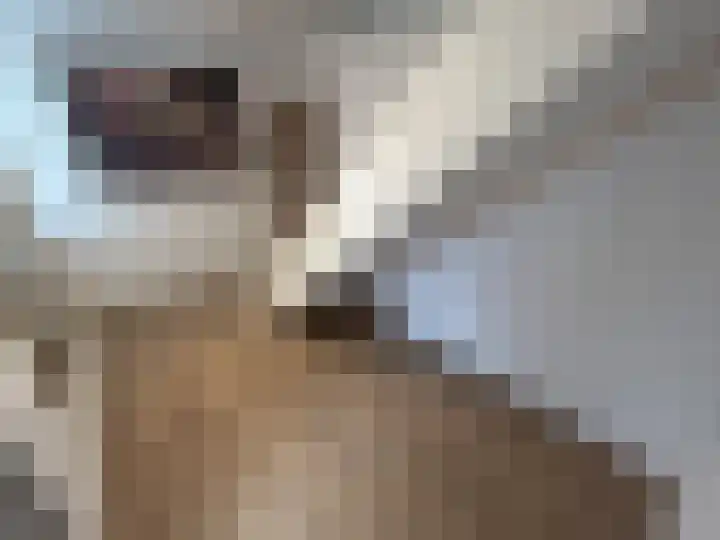 Italiëlaan 117 Heerlen thumbnail 5