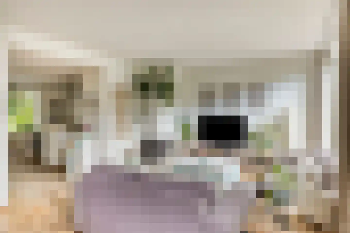 Italiëlaan 123 Eindhoven thumbnail 13