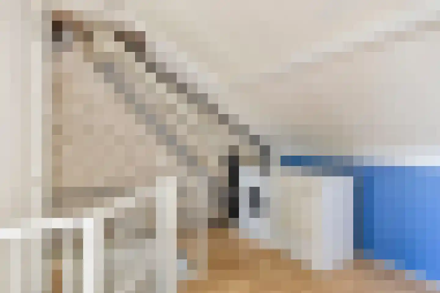 Italiëlaan 123 Eindhoven thumbnail 41