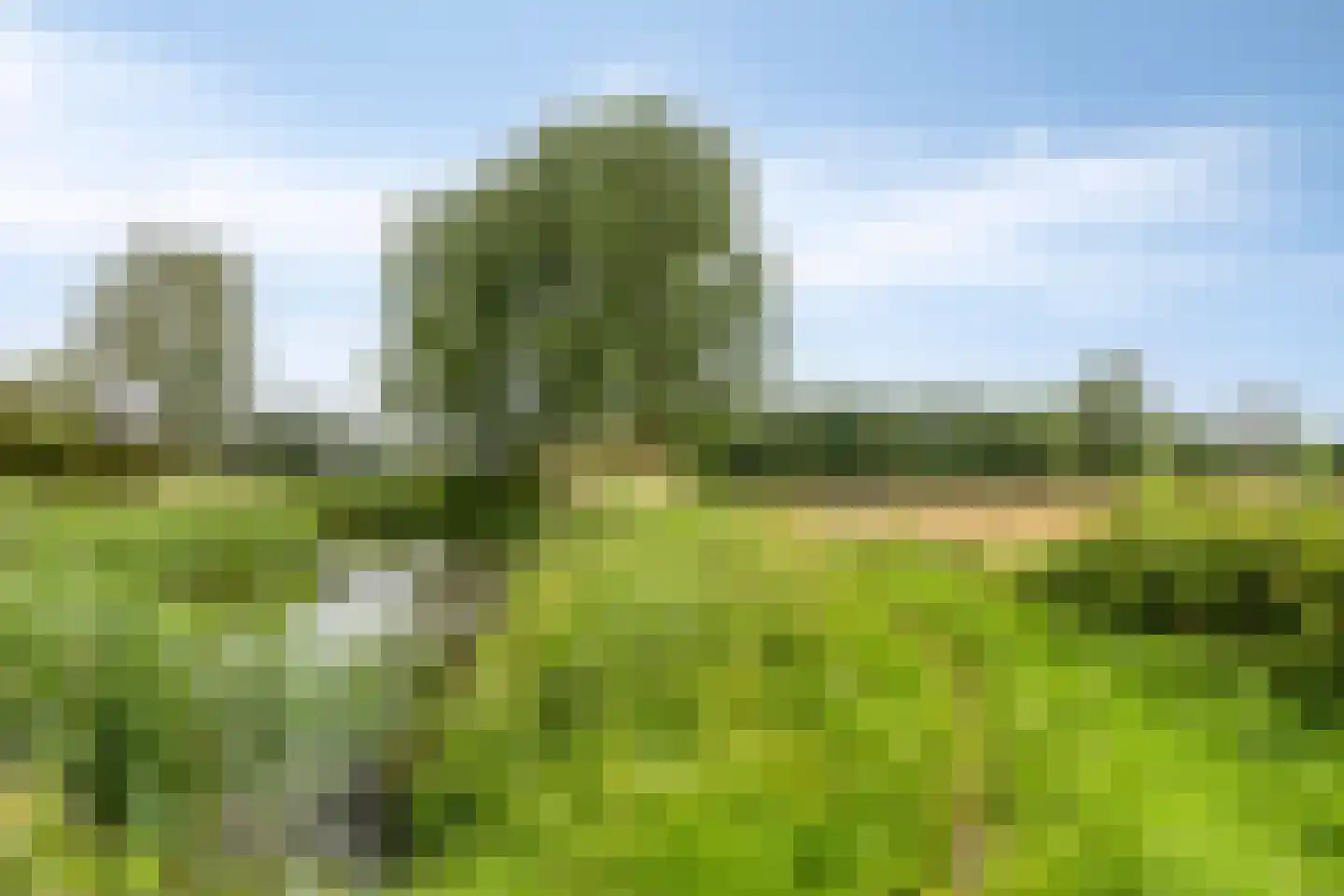 Italiëlaan 123 Eindhoven thumbnail 56