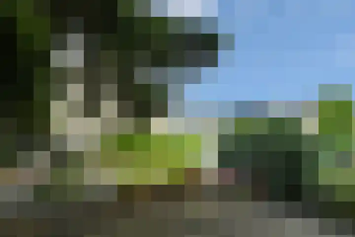Italiëlaan 2 Eindhoven thumbnail 24