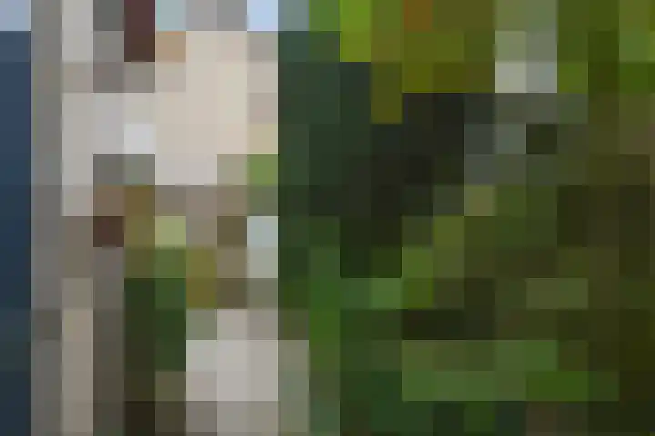 Italiëlaan 2 Eindhoven thumbnail 28