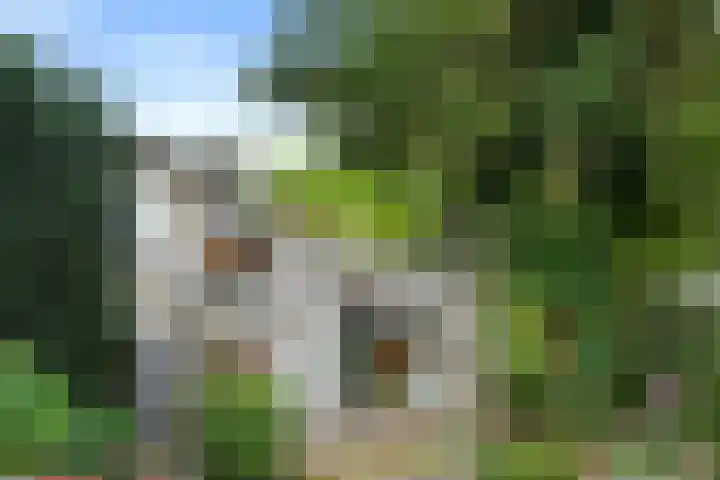 Italiëlaan 2 Eindhoven thumbnail 30