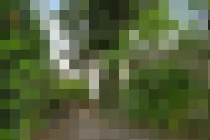 Italiëlaan 2 Eindhoven thumbnail 32