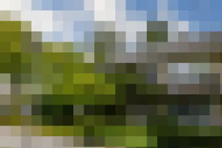 Italiëlaan 2 Eindhoven thumbnail 5