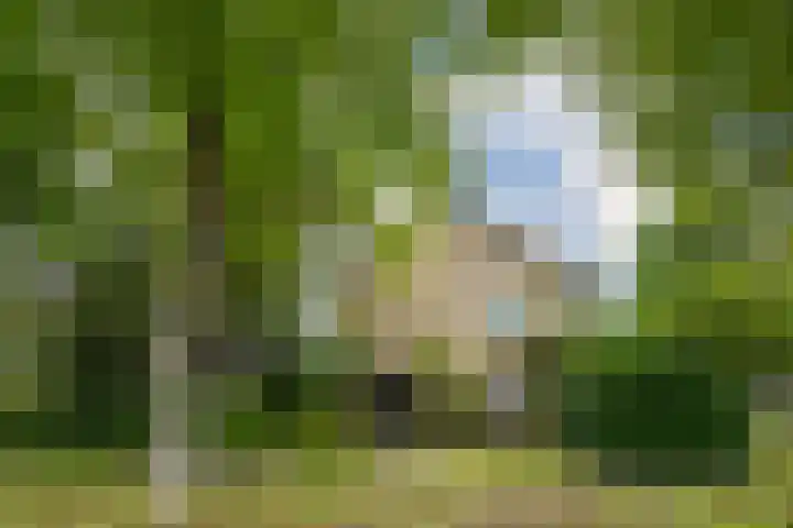 Italiëlaan 2 Eindhoven thumbnail 6