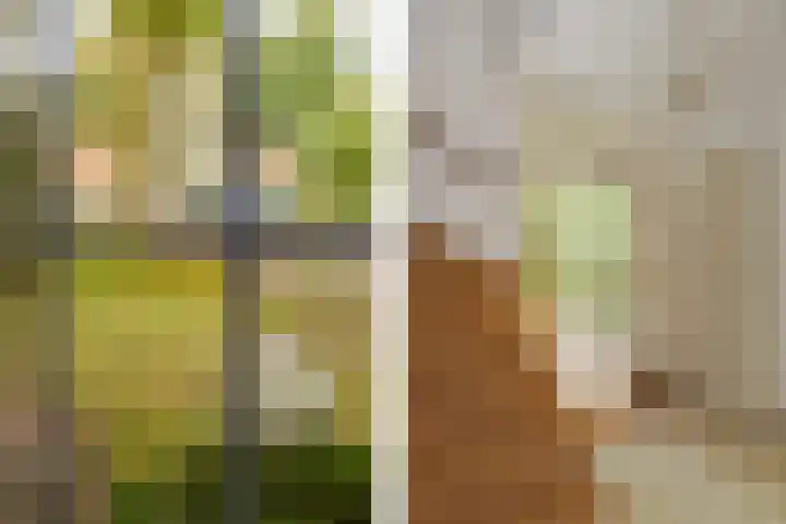 Italiëlaan 2 Eindhoven thumbnail 7