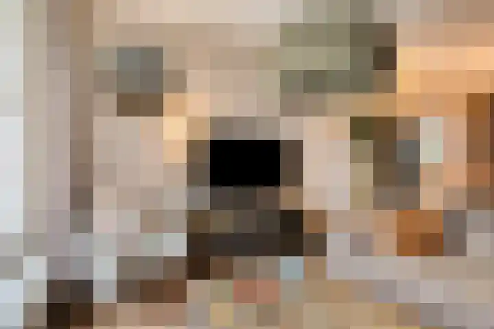Italiëlaan 22 Eindhoven thumbnail 10
